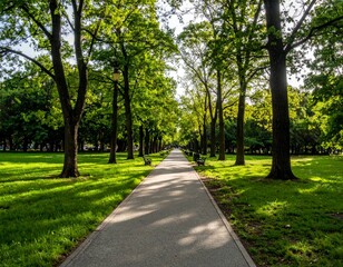 Fototapeta premium Serene Pathway Surrounded by Lush Trees in a Tranquil Park Setting