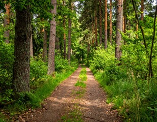 Obraz premium Serene Pathway Through Lush Green Forest Under Soft Sunlight
