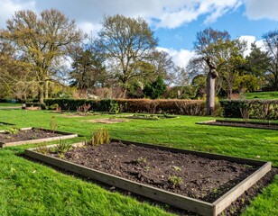 Tranquil Garden Landscape with Wooden Raised Beds and Blue Sky