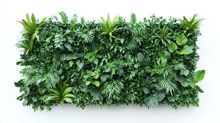 Obraz premium Green wall installation isolated on white background