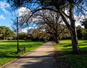 Serene Park Pathway Under Lush Trees and Clear Blue Sky
