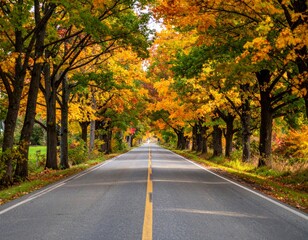 Scenic Autumn Road Surrounded by Colorful Fall Foliage Trees