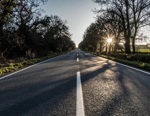 Serene Empty Road Through Trees at Sunset with Long Shadows