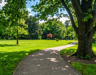 Serene Park Landscape with Pathway Surrounded by Lush Green Trees