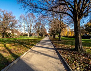 Tranquil Park Pathway Surrounded by Colorful Autumn Trees and Sky