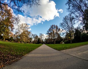Peaceful Park Pathway Surrounded by Trees and Blue Sky