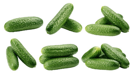 Cucumber isolated on white background, full depth of field