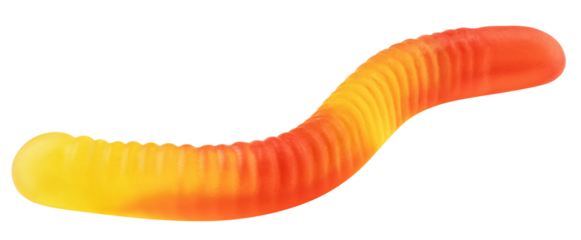 Gummy candy worm, isolated on white background, full depth of field