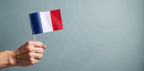 Close-up of hands holding small French flags against grey backdrop, diversity, school, education