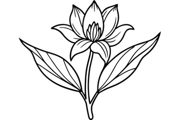Elegant flower with long stem and leaves is outlined in black on white
