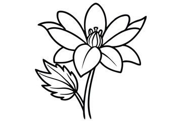 Isolated lotus flower with stem and single leaf is beautifully outlined in black