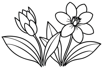 Outlined flowers in various stages of bloom are shown with leaves in black and white