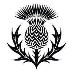 Obraz premium Knotwork Thistle Silhouette, Vector, Illustration, Icon, Logo, White Background.