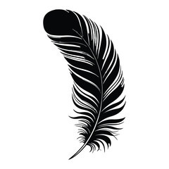 Obraz premium Line Art Feather Silhouette, Vector, Illustration, Icon, Logo, White Background.