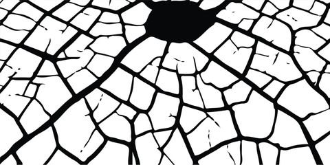 Obraz premium White black grey wall, floor with cracks, texture background. crack ground for abstract background on white background 