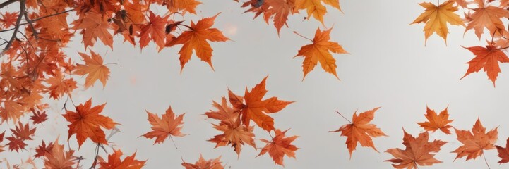 Vibrant red and orange maple leaves falling against pure white ,  red leaves,  november,  illustration