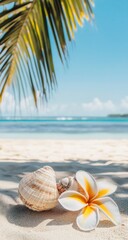 Tropical beach scene with shells and plumeria (2)