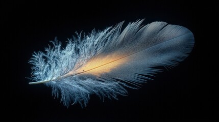 Obraz premium Elegant feather with luminous glow on dark background: captivating visuals of nature's beauty