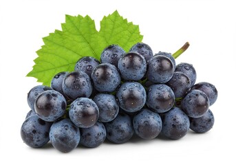 A cluster of fresh black grapes with water droplets and a green leaf isolated on white