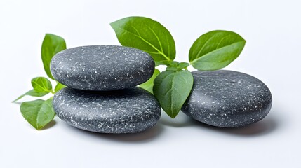 Peaceful massage stones with fresh green leaves