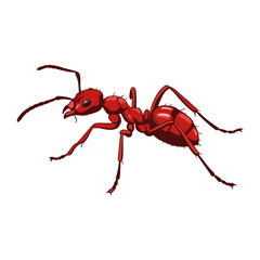 hp 62.epsvector illustration of red ants on white background