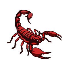 scorpion vector illustration on white background