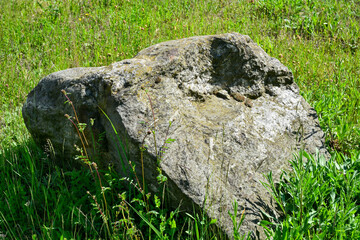 Stone, boulder, in a meadow,