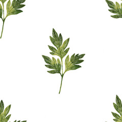 Stylized minimalist modern watercolor botanical pattern. Wallpaper, textile seamless background. Green foliage pattern.