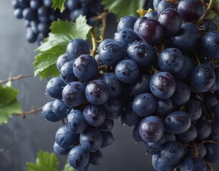 Luscious blue grapes, glistening wet, isolated ,  summer fruit,  vibrant