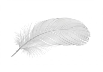 Fototapeta premium Delicate white feather isolated against a clean background with subtle shadows