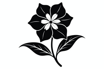 Isolated black flower blossoms beautifully with intricate white inner petals and veined leaves