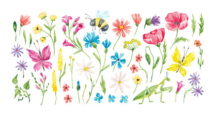 Summer meadow flowers and insects hand drawn with watercolor. Not AI. Isolated on white. Bright design elements. Cute wild flowers clip art for card, banner, invitation