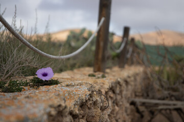 old wooden fence on beach