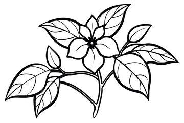 Detailed black outlines display an elegant flower and leaf arrangement with fine lines
