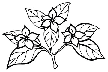 Three monochrome flowers on a stem with detailed leaves create an elegant blossom arrangement