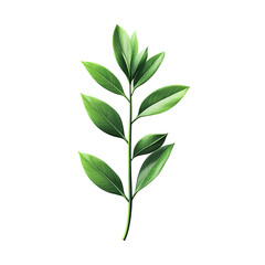 Fototapeta premium Green plant stem with leaves