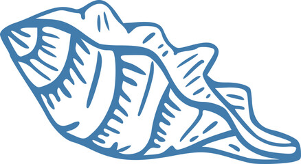 Whimsical coastal seashell hand drawn vector illustrations