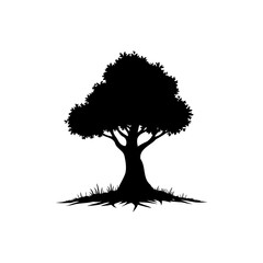 Silhouette of a majestic tree against a clean white backdrop creating serene mood