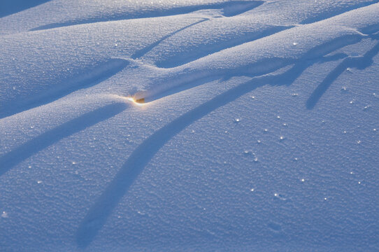Winter snowscape in during snowfall