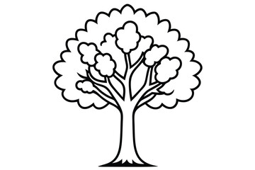 Obraz premium Black outline of a rounded tree with leaves and branches on white shows silhouette