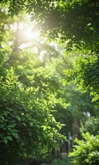 Blurred green leaves, dappled sunlight, soft focus, lush foliage,  green,  bokeh,  diffuse