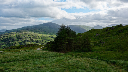 Obraz premium Exploring the scenic valleys of Blackvalley in Ireland during a peaceful afternoon under cloudy skies.