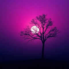 silhouette of a tree in the night