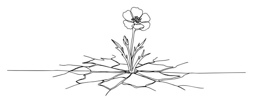 one line vector of flower growing from cracked ground, symbol of resilience and hope
