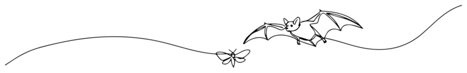 flying bats in horizontal line style, black and white vector banner