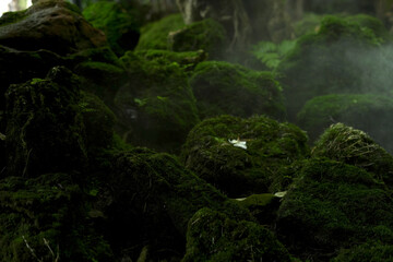 Green moss on the rocks under the waterfall at the beautiful natural mountain.