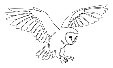 owl in flight with wings wide open and claws out, one line vector for nature and wildlife themes