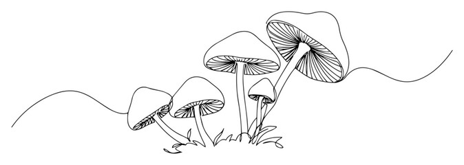 mushrooms line art vector © Luka