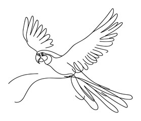 flying parrot one line vector