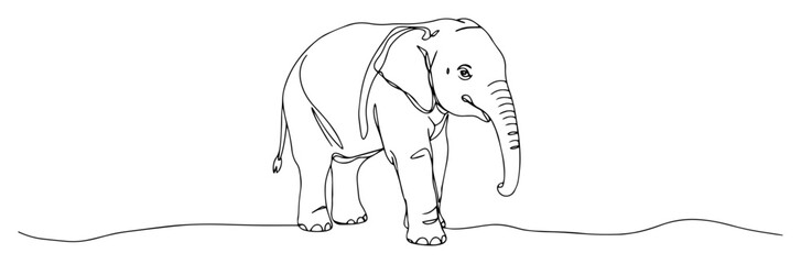 elephant walking line drawing vector

